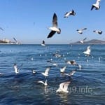 Avatar of Abdul Rahman